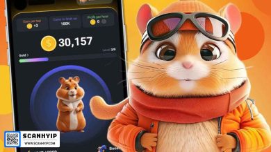 آموزش بازی همستر کامبت Hamster Kombat