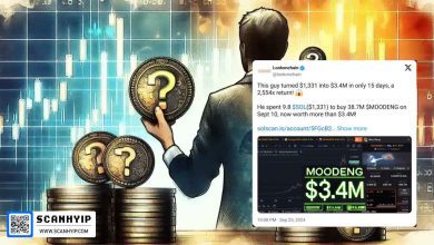 تبدیل 1300 دلار به 3.4 میلیون دلار فقط در ۱۵ روز با خرید میم کوین