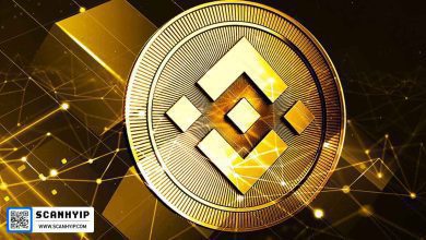 خاموشی کامل زنجیره بیکن BNB در اواخر آبان 1403