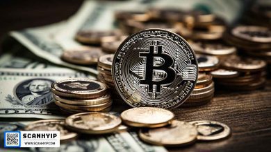 بازیابی موفقیتآمیز ۱۹.۳ میلیون دلار ارز دیجیتال سرقتشده توسط دولت آمریکا 3 بازیابی موفقیتآمیز ۱۹.۳ میلیون دلار ارز دیجیتال سرقتشده توسط دولت آمریکا