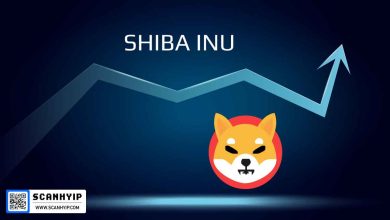 شیبا اینو (Shiba Inu): آینده‌ای درخشان در دنیای ارزهای دیجیتال