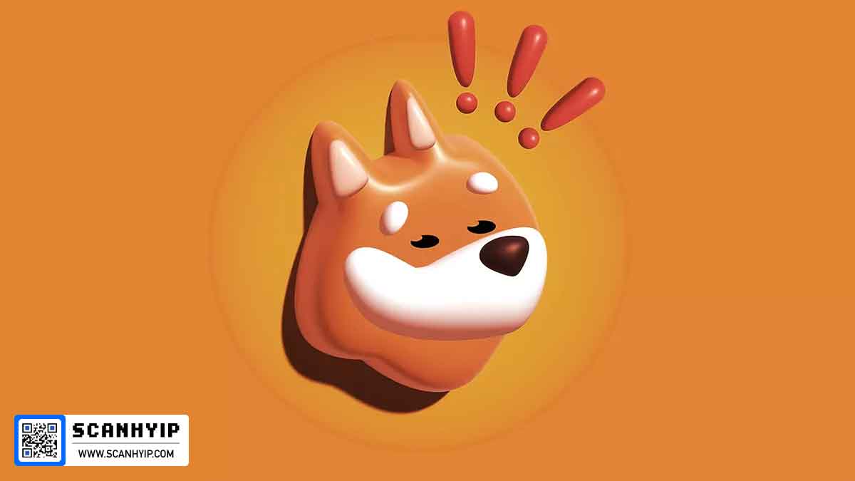 BONK coin ارز دیجیتال بونک چیست
