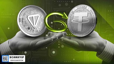 شت کوین چیست؟ Shitcoin در کریپتو 3 شت کوین چیست؟