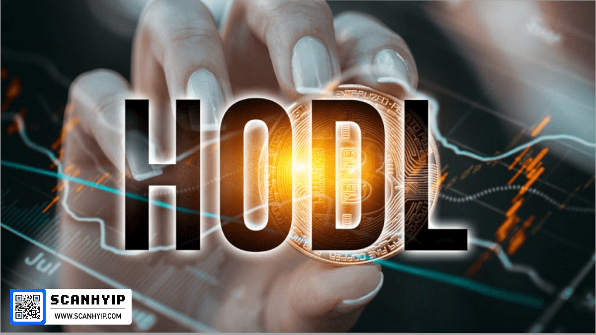 هولد کردن ارز دیجیتال یا هودل HODL چیست؟