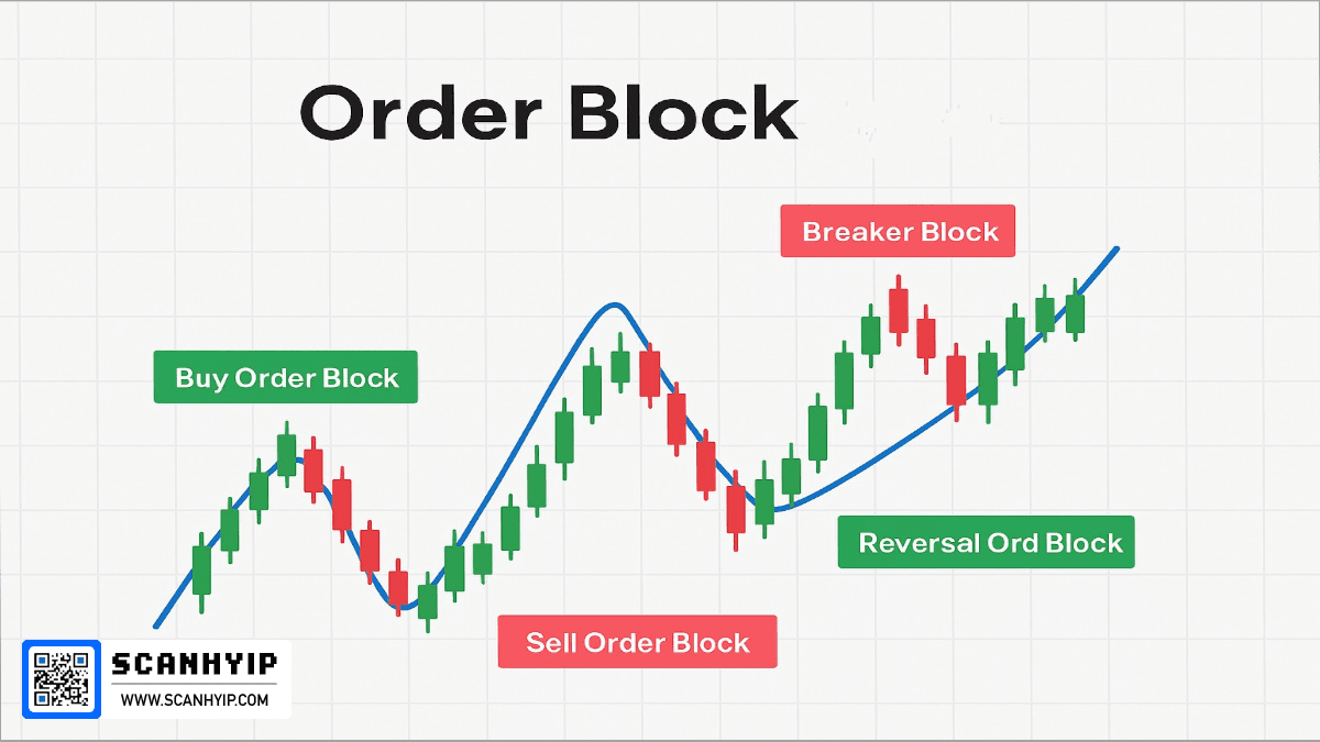 اوردر بلاک order block چیست