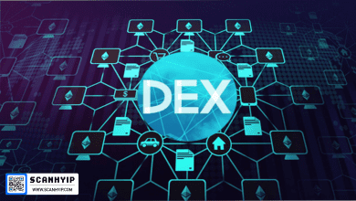 دکس DEX چیست؟ تعریف و تفاوت‌های اساسی با صرافی‌های متمرکز