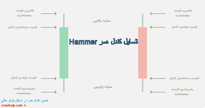 تفسیر کندل همر در تحلیل بازار مالی