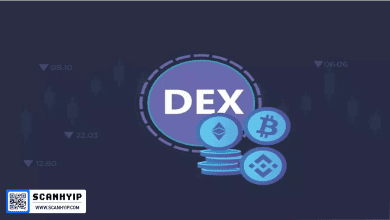 محبوب ترین DEX ها برای خرید و فروش توکن های پامپی