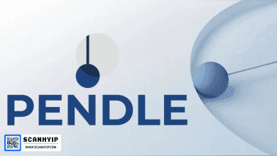 آشنایی با ارز دیجیتال PENDLE نوآوری در معاملات سودآور دیفای