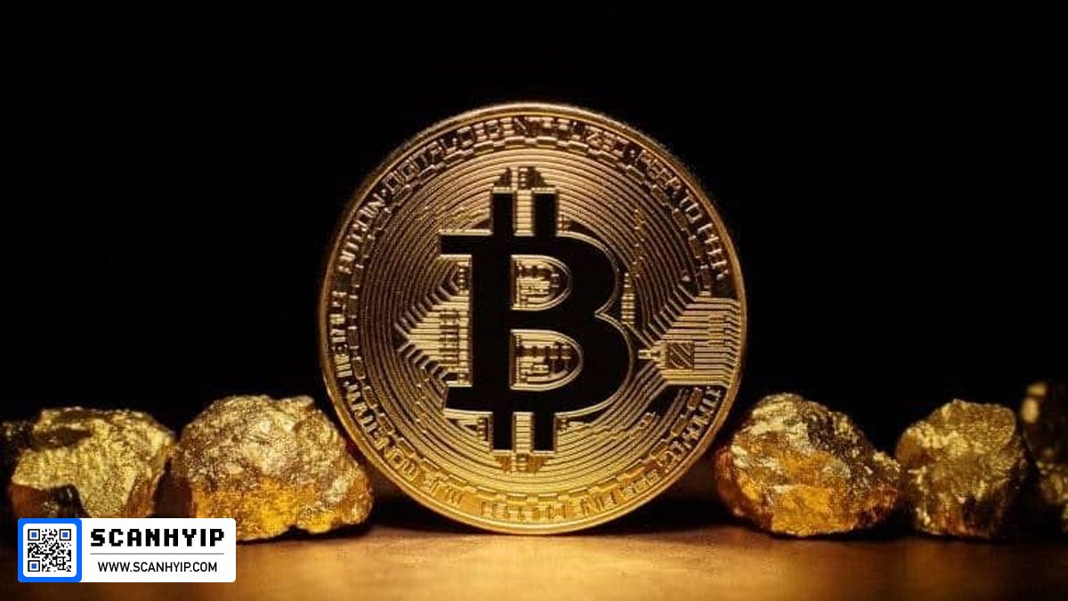 کجا سرمایهگذاری کنیم؟ بیتکوین، طلا یا سهام؟