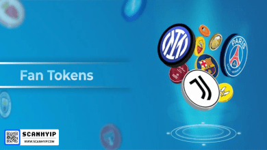 توکن طرفداری چیست (Fan Token)