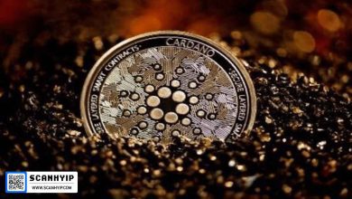 خرید ۱۸۰ میلیون آدا؛ جهش ۹٪ قیمت کاردانو در ۲۰۲۵