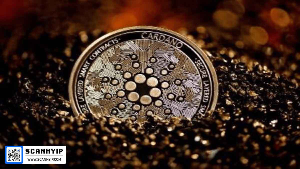 خرید ۱۸۰ میلیون آدا؛ جهش ۹٪ قیمت کاردانو در ۲۰۲۵