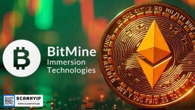 خرید ۶.۶ میلیارد دلاری اتریوم توسط BitMine؛ تهدیدی برای خزانه‌داران بیت‌کوین؟