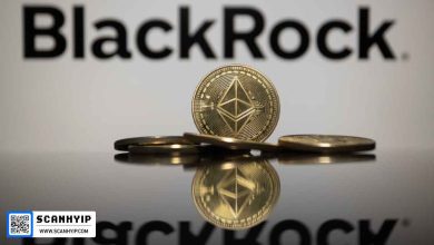 ورود ۳.۷۵ میلیارد دلار به بازار؛ نقش کلیدی BlackRock و Ethereum در جذب سرمایه