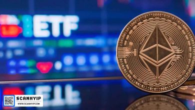ETF اتریوم اسپات با جذب ۴۴۴ میلیون دلار، بیت‌کوین را پشت سر گذاشت