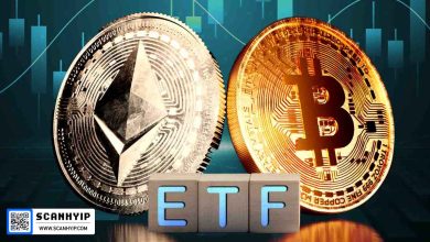 صندوق‌های ETF اتریوم؛ جذب ۴۵۵ میلیون دلار و پیشی گرفتن از بیت‌کوین برای دومین بار