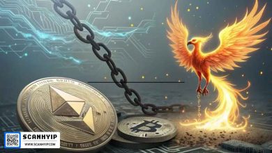 معاملات آتی اتریوم پیشتاز شدند | سلطه بیت‌کوین کاهش یافت