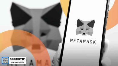 متامسک mUSD را معرفی کرد؛ ورود به دنیای استیبل‌کوین در اتریوم و Linea