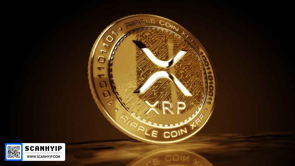 ریپل XRP و هدف ۵ دلاری؛ آمادهسازی گاوها برای تارگت ۱۰ دلار