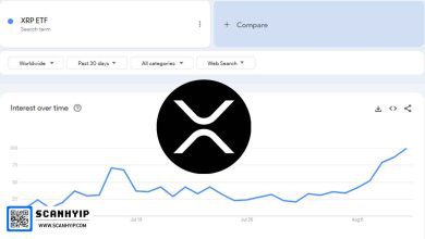 XRP ETF؛ جهش ۷۳۰٪ علاقه جهانی در ۲۰۲۵