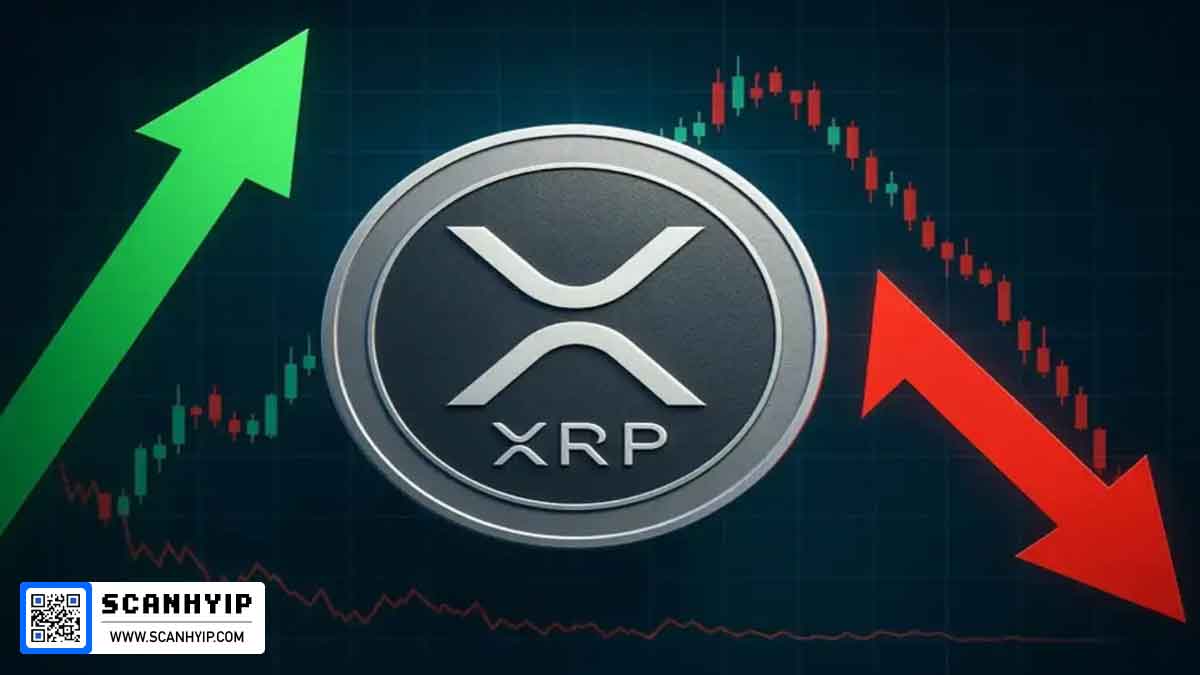 ETF های ریپل؛ آیا تقاضا فراتر از انتظار خواهد بود؟