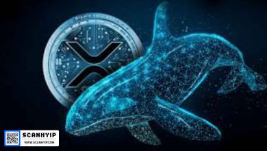XRP و حمایت جدید نهنگ‌ها؛ ۳۴۰ میلیون توکن خریداری شد