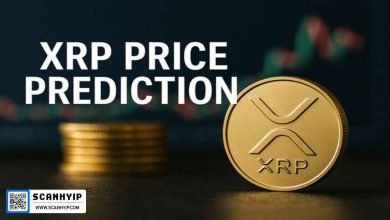 آیا XRP به ۵۰ دلار می‌رسد؟ پیش‌بینی جهش بزرگ تا ۲۰۲۶