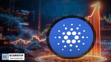 کاردانو آماده جهش بزرگ | تحلیل الگوهای صعودی و همکاری‌های جدید