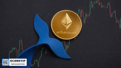 نهنگ اتریوم پس از ۳ سال بیدار شد؛ استیک ۶۴۶ میلیون دلاری ETH