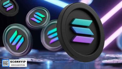 رشد سولانا با حمایت نهادی؛ هدف بعدی قیمت 300 دلار در 2025 4 رشد سولانا با حمایت نهادی؛ هدف بعدی قیمت 300 دلار در 2025