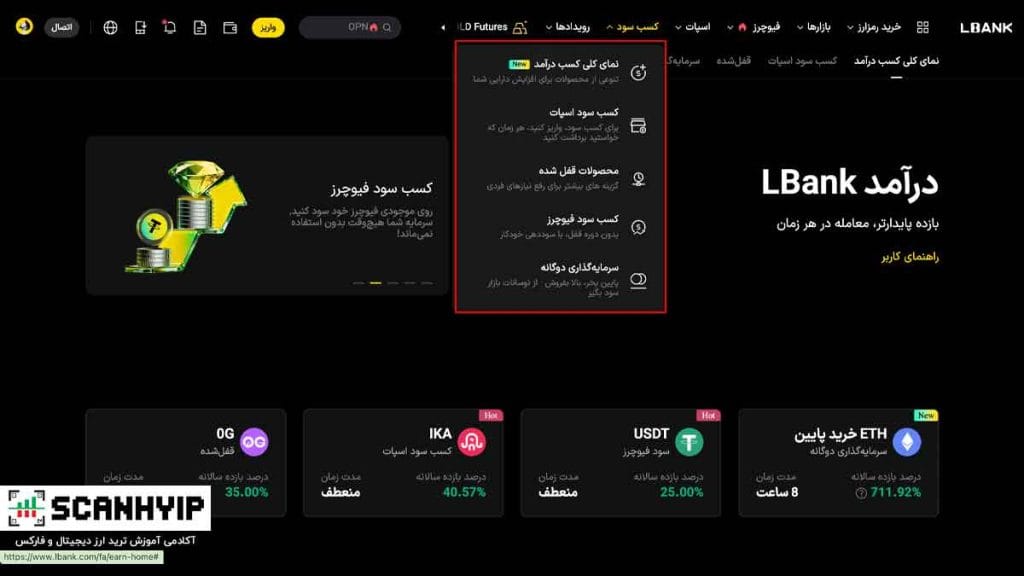 صرافی ال بانک LBank منتخب ایرانی ها برای بازار میم کوین 25 کسب درآمد در ال بانک (Earn)