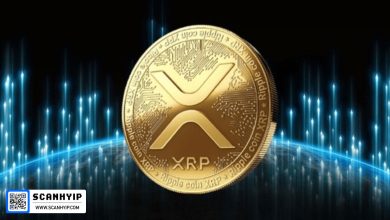 افزایش چشمگیر انباشت XRP توسط نهنگ‌ها