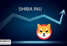 شیبا اینو (Shiba Inu): آینده‌ای درخشان در دنیای ارزهای دیجیتال