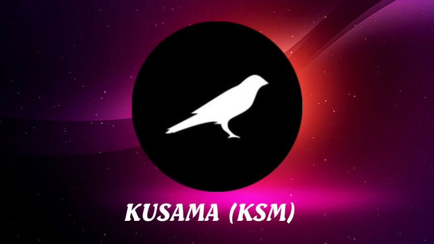 پروژه استیکینگ کوساما (KSM)