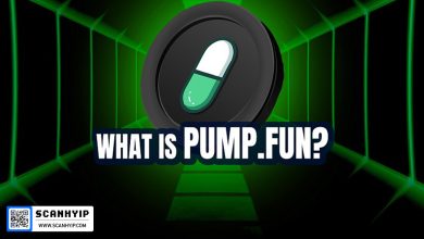 Pump.fun پامپ دات فان