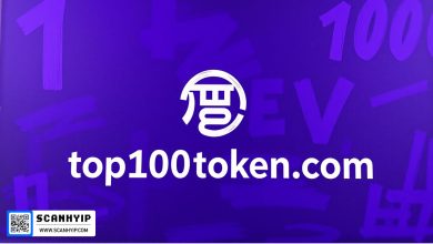 top100token.com