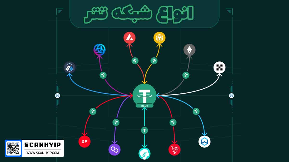 انواع شبکه تتر
