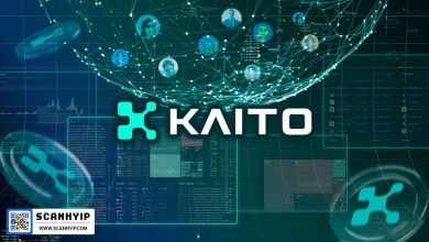 راهنمای پلتفرم کایتو Kaito.ai و نحوه کسب درآمد Yaps