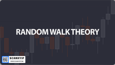 نظریه ورود تصادفی random walk