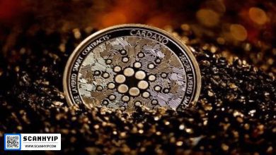 خرید ۱۸۰ میلیون آدا؛ جهش ۹٪ قیمت کاردانو در ۲۰۲۵