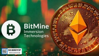 خرید ۶.۶ میلیارد دلاری اتریوم توسط BitMine؛ تهدیدی برای خزانه‌داران بیت‌کوین؟