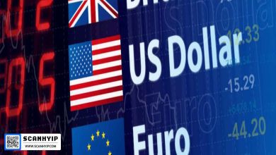 چشم‌انداز EUR/USD و GBP/USD: الگوهای صعودی با ضعف دلار