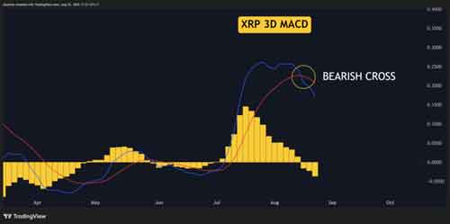 پیش‌بینی قیمت ریپل (XRP) در این هفته؛ حمایت ۲.۷ یا بازگشت به ۳ دلار؟