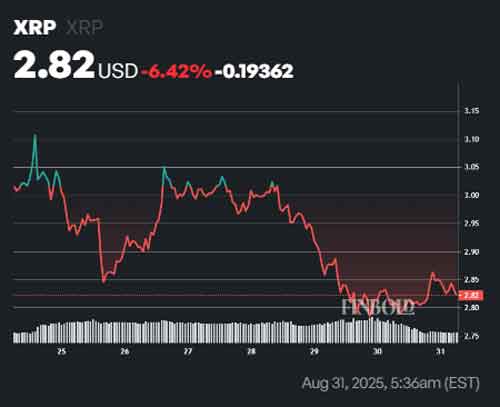 XRP و حمایت جدید نهنگ‌ها؛ ۳۴۰ میلیون توکن خریداری شد