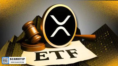 به‌روزرسانی فوری ETF XRP همزمان با ضربه تازه SEC به ریپل