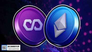 اتریوم و Polygon پیشتاز پذیرش توسط توسعه‌دهندگان در آمریکای لاتین هستند