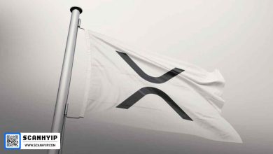 پرچم صعودی XRP: امیدهای جهش با نزدیک شدن لجر به ۱۰۰ میلیون