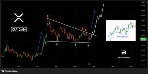 پرچم صعودی XRP: امیدهای جهش با نزدیک شدن لجر به ۱۰۰ میلیون