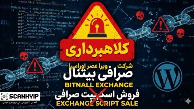 کلاهبرداری صرافی بیتنال (شرکت ویرا عصر اوراسیا)؛ فروش اسکریپت صرافی